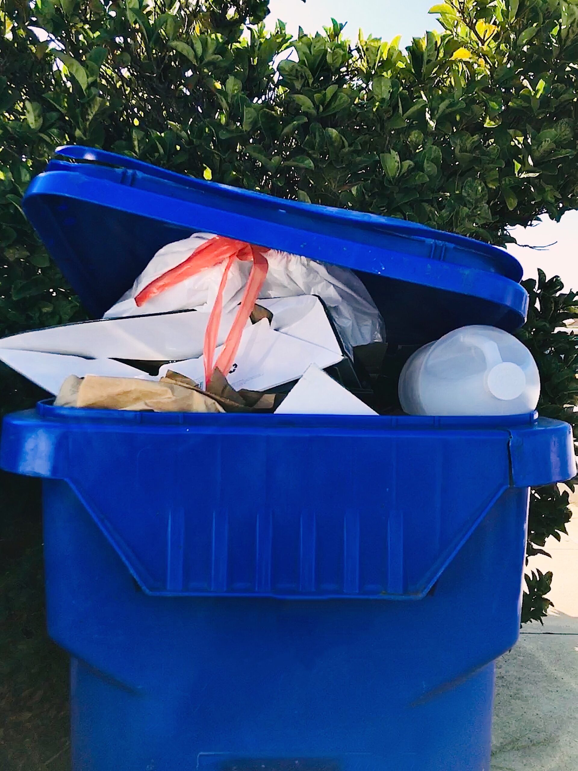blue-trash-can-filled-with-recyclables-outdoors-2026-03-24-07-17-37-utc